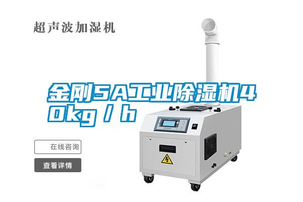 金刚5A宝马电子游戏平台网址
40kg／h