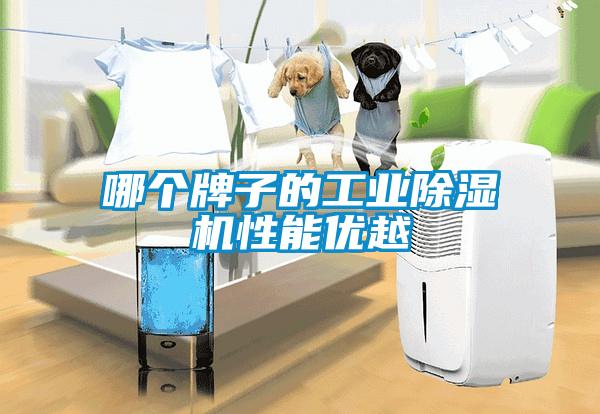 哪个牌子的宝马电子游戏平台网址
性能优越