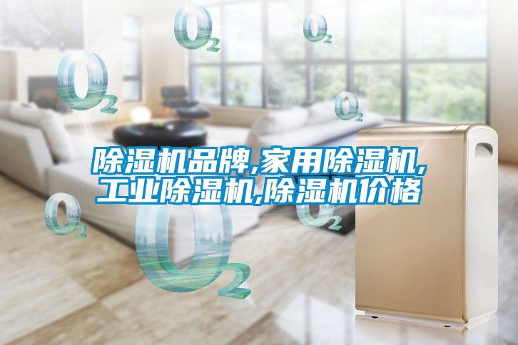 除湿机品牌,家用除湿机,宝马电子游戏平台网址
,除湿机价格